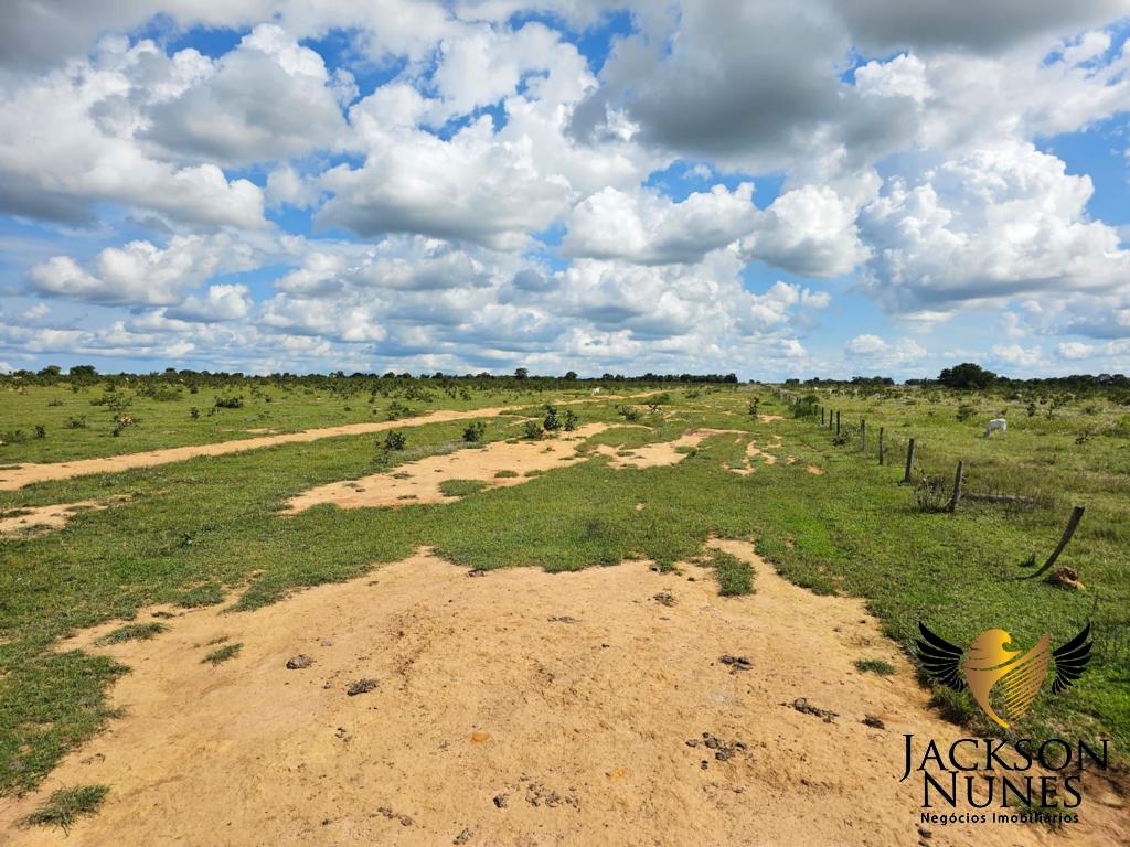 Chácara à venda - Foto 4