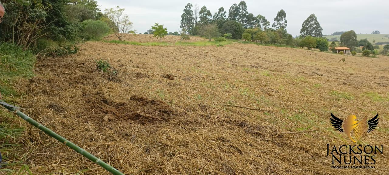 Chácara à venda com 4 quartos, 48400m² - Foto 1