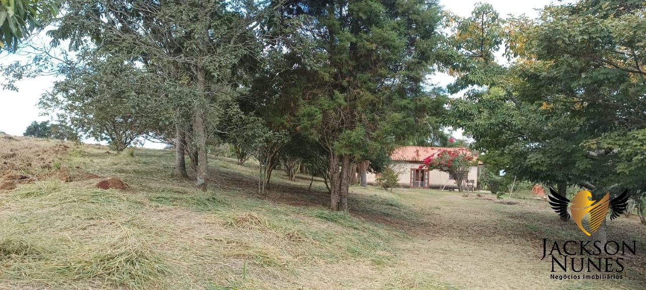 Chácara à venda com 4 quartos, 48400m² - Foto 13